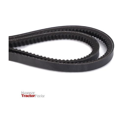 Belt PROP. PUMP AND HYDR. PUMP - D41990013 - Massey Tractor Parts