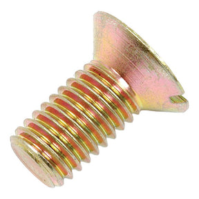 Close-up of the Brake Drum Retaining Screw (Sparex Part No. S.41554) by Sparex, featuring a brass flat head with a slotted drive and threaded shaft, ideal for Massey Ferguson machinery.
