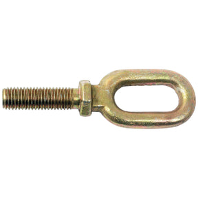 Close-up of the Stabiliser Eye Bolt - 3/4 UNC - (Sparex Part No. S.4461) with a threaded shaft and an oval-shaped loop at the end, perfect for securing your New Holland or Ford equipment.