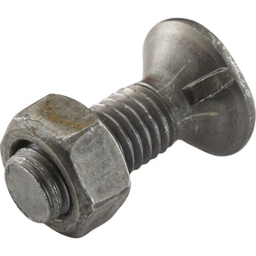 Introducing the Sparex Round Countersunk Square Hex Bolt & Nut (TFCC) - M14 x 50mm, featuring a metallic bolt and nut assembly with a flat, circular head and coarse threading. This high-durability bolt boasts a tensile strength of 8.8 and is available in a convenient box of 25 pieces under Sparex Part No. S.78825.
