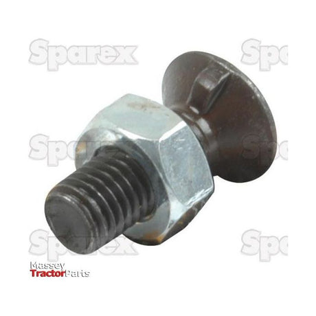 Close-up of a Countersunk Head Bolt 1 Nib With Nut (TF1E) - M10 x 40mm, against a white background featuring faint 'Sparex' logos. The bolt, with threading on one end and a dome-shaped head on the other, boasts a tensile strength of 8.8. This Sparex Part No.S.27543 product comes in a pack of 14 pieces under the brand name Sparex.