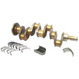 A Sparex Crankshaft Kit (4 Cyl.) AD4.203 - S.40310, featuring multiple bearings and a main bearing, displayed on a white background.