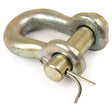 The Sparex D Shackle (S.13260) with a 14mm pin diameter and 20mm jaw width features a removable pin and cotter pin for secure fastening, making it ideal for lifting and rigging applications. Designed for heavy-duty tasks, it adheres to all necessary safety and reliability specifications.