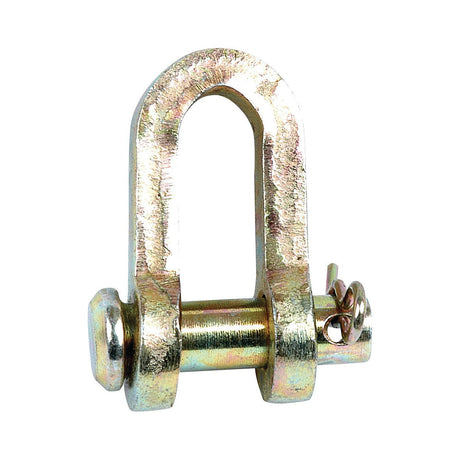 D Shackle, Pin⌀9mm, Jaw Width: 11mm
 - S.62 - Massey Tractor Parts