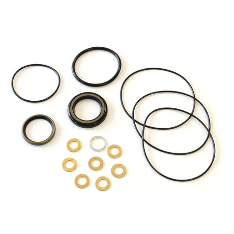 Danfoss Orbital Motor Seal Kit OMP, OMR (1511275) by Sparex, featuring assorted rubber and metal washers, seals, and O-rings arranged on a white background, ideal for maintaining Danfoss motors.