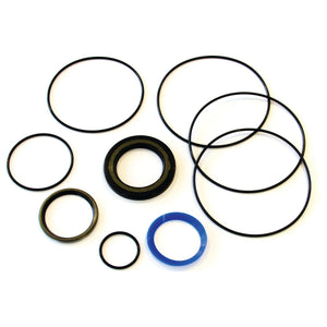 A Danfoss Orbital Motor Seal Kit OMS (151F0111), known as Sparex Part No.S.137149, comprising assorted sizes of rubber O-rings and seals from the Sparex brand, arranged on a white background.