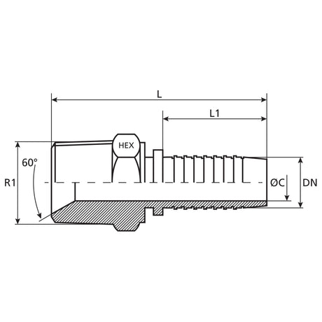 Technical drawing of the Dicsa BSPT Hose Insert 3/4'' x 3/4'' Male Thread Straight (Sparex Part No.S.116679), showing dimensions with labels such as R1, L, L1, ØC, and DN. This Male Thread Straight fitting includes a hex nut and a conical section at a 60-degree angle from the Sparex brand.