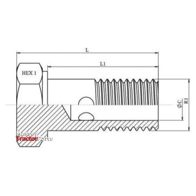 Dicsa Metric Banjo Bolt M22 x 1.5
 - S.116867 - Farming Parts