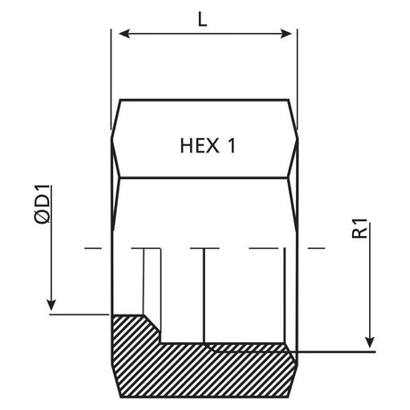 Technical drawing of a cylindrical component with a hexagonal head (HEX 1) and labeled dimensions: length (L), diameter (ØD1), and radius (R1). The lower part shows a cross-sectional view. This Sparex Dicsa Metric Nut M14 x 1.5 (8L) follows the standard for precision fittings, identified as Sparex Part No. S.116822.