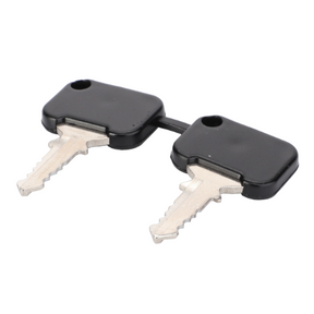 The AGCO Massey Ferguson Door Key, model 3902584M91, features two identical metal keys with black plastic heads, connected by a short black plastic link.