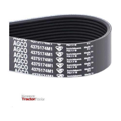 Drive Belt - 4375174M1 - Massey Tractor Parts