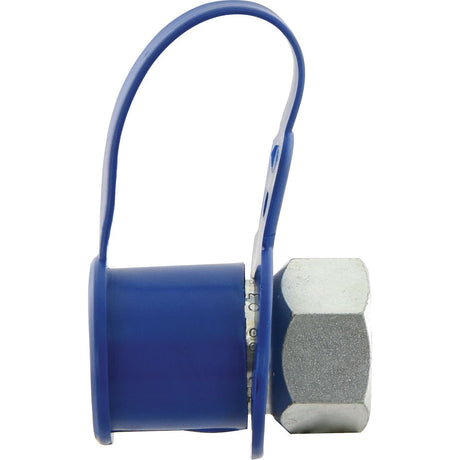 Sparex Dust Cap Blue PVC Fits 1/2'' Male Coupling - S.14065 - Farming Parts