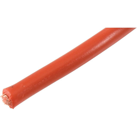 Close-up view of the end of a red Sparex Electrical Cable (1 Core, 2.5mm²) showing exposed copper strands, ideal for identifying the details needed for your projects. (Sparex Part No.S.51934, Length: 50M).
