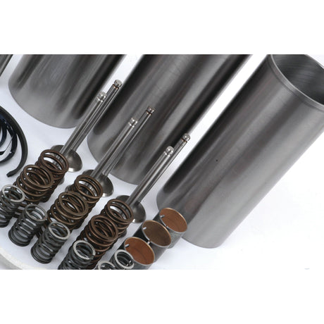 A set of metallic engine parts, including valve springs, valve stems, and cylindrical components from the Sparex Engine Overhaul Kit with Valve Train (Finished) - S.40368, neatly arranged on a white surface.