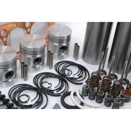 A carefully arranged Engine Overhaul Kit with Valve Train (Finished) - S.40368 by Sparex, featuring pistons, valves, springs, gaskets, and sealing rings for a Perkins Engine, displayed on a white surface.
