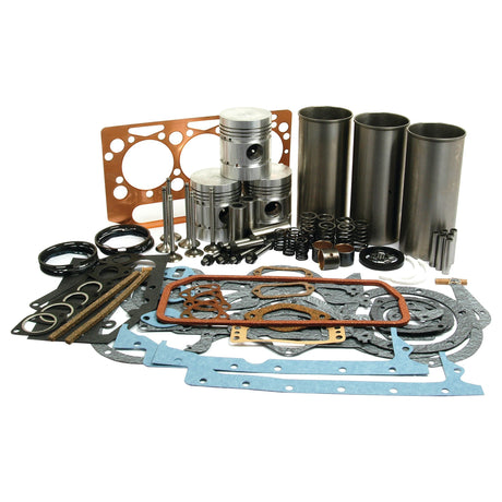 A collection of various engine parts, including gaskets, pistons, valves, and cylinders from the Sparex Engine Overhaul Kit with Valve Train (Finished) - S.40370, arranged on a white background.