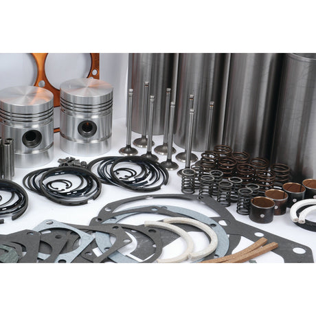 A display of various engine parts, including piston rings, gaskets, valves, springs, and cylinder sleeves from the Sparex Engine Overhaul Kit with Valve Train (Finished) - S.40371, arranged neatly on a white surface.