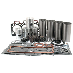 A meticulously arranged Sparex Engine Overhaul Kit with Valve Train (Finished) - S.40375, featuring pistons, cylinders, gaskets, and springs is showcased on a white background. This collection of A4.212 engine parts exemplifies precision and quality craftsmanship.