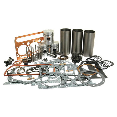 A variety of engine parts, including pistons, gaskets, seals, valves, and cylinder liners from the Sparex Engine Overhaul Kit with Valve Train (Semi Finished) - S.66596, arranged neatly on a white background.