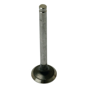 A close-up of the Exhaust Valve +0.003'' (0.076mm) with a cylindrical stem and a rounded head, perfect for your Sparex engine needs. Get it now with Sparex Part No.S.40492!