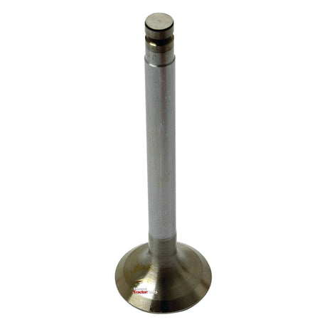 A close-up image of a Sparex Exhaust Valve, Part No. S.40494, featuring a cylindrical stem, flat circular head, and two grooves at the top.