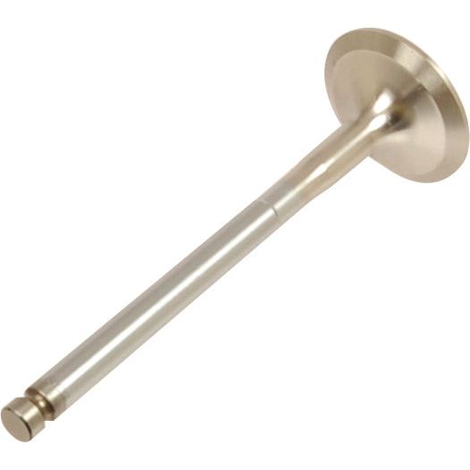 Exhaust Valve Standard
 - S.111776 - Farming Parts