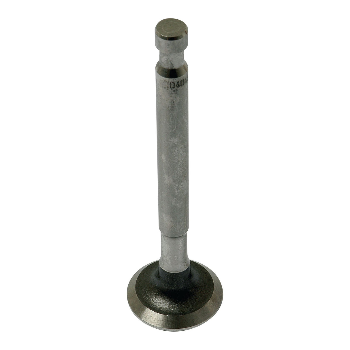 Close-up of the Exhaust Valve Standard (Sparex Part No. S.40484) featuring a cylindrical stem and a flat, circular head. The Sparex valve, suitable for Massey Ferguson machinery, is silver with a slightly weathered appearance.