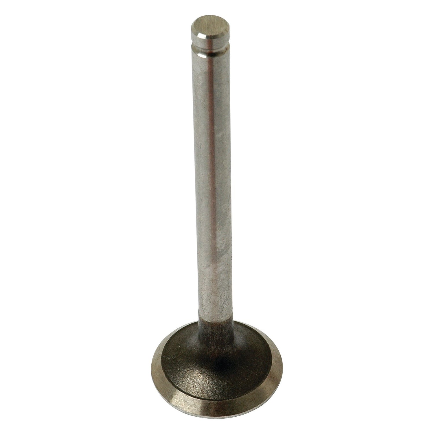 A close-up photo of the Sparex Exhaust Valve Standard (Part No. S.41745), a metallic component possibly from a Perkins engine, standing upright on its base with a slightly reflective surface.