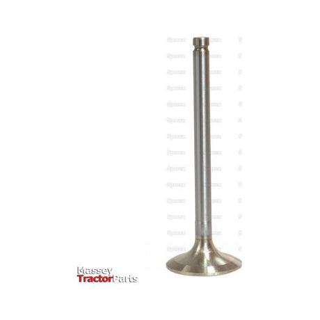 Exhaust Valve Standard
 - S.111777 - Farming Parts