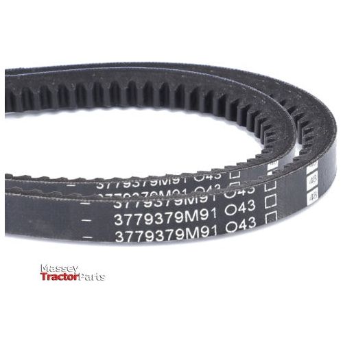 Fan Belt - 3779379M91 - Massey Tractor Parts