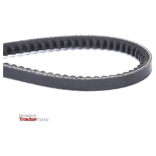 Fan Belt - X696616800000 - Massey Tractor Parts
