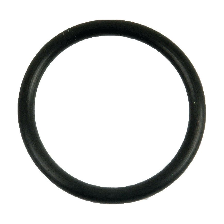 Filter Gasket - Oil
 - S.64691 - Massey Tractor Parts