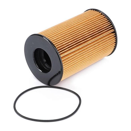 Fuel Filter - 4225393M1 - Massey Tractor Parts