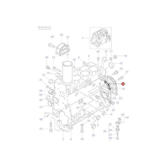 Gasket Rear Crankshaft Housing - 4223587M1 - Massey Tractor Parts
