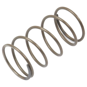 A Sparex Gearbox Spring (Part No. S.42138) featuring circular loops and a coiled metal design, engineered for an optimal fit within the gearbox of a Massey Ferguson.