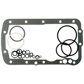 A set of black and white rubber O-rings of various sizes displayed on a flat surface alongside a rectangular Hydraulic Lift Cover Gasket for New Holland and Ford machinery, named the Hydrauilc Lift Cover Gasket | Sparex Part No.S.61507 from the brand Sparex.