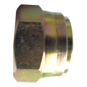 The Hydraulic Adaptor 3/4'' BSP Swivel Blanking Cap from Sparex (Part No. S.14124) is a metallic hexagonal nut with a cylindrical extension on one end, making it perfect for use as a hydraulic adaptor.