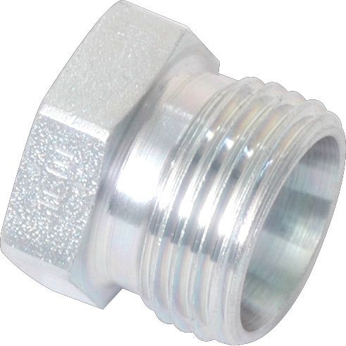 A close-up image of a shiny 18L threaded metal pipe fitting with a hexagonal head, showcasing the precision craftsmanship of the Hydraulic Blanking Plug 18L (Sparex Part No. S.21275) from Sparex.