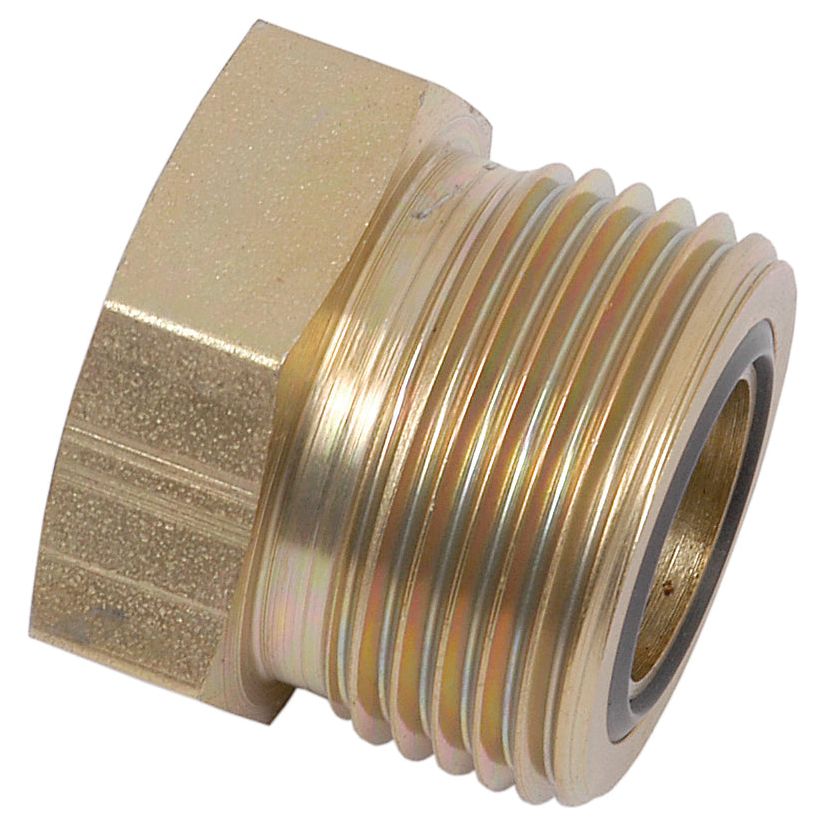 A Sparex Hydraulic ORFS Blanking Plug 1.3/16''UNF (Sparex Part No. S.20867), a brass male thread pipe fitting with a hexagonal nut and rubber gasket, used for joining or terminating pipes.