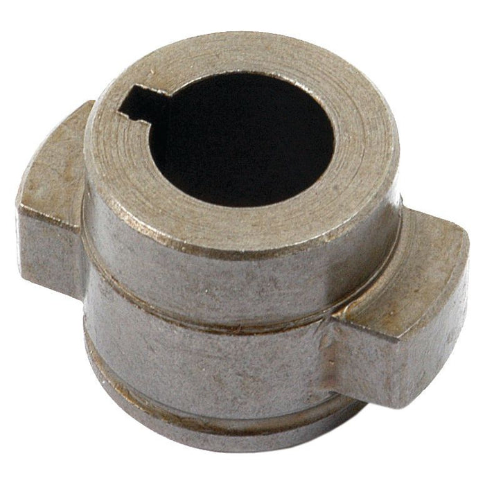 Hydraulic Pump Hub - Sparex Part S.62485