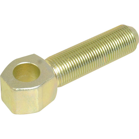 A Sparex metal bolt with a hexagonal head, threaded cylindrical body, and a thread length of 113mm, available under the product name Top Link Threaded Eye with thread size M36x3 RH (Sparex Part No. S.56818).