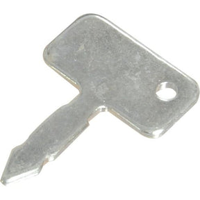 The Sparex Ignition Key (Part No. S.3989) is a flat, rectangular metal key featuring a small hole at one end, compatible with many ignition switches and ideal for Sparex or Case IH equipment.
