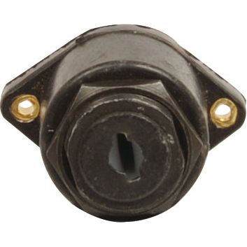Close-up image of the Sparex Ignition Switch & Key (Agripak 1 pc.), Sparex Part No. S.22482, featuring a black, cylindrical lock housing with two visible screws on either side, reminiscent of a Lucas type design.