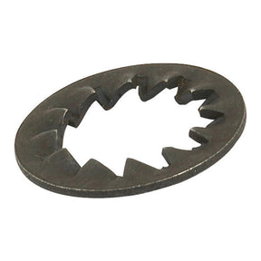 A metal Imperial Internal Shakeproof Washer, featuring a jagged inner edge and smooth outer edge, from Sparex (ID: 7/16'', Sparex Part No. S.5724).