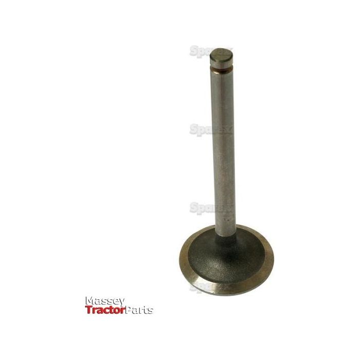 A single Inlet Valve (Sparex Part No. S.42439) for Massey Ferguson tractor parts is shown upright on a white background, with the Sparex logo at the bottom left corner.