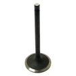 A single, metallic Inlet Valve (Sparex Part No. S.62057) with a rounded head and cylindrical stem from Sparex, standing upright on a white background.