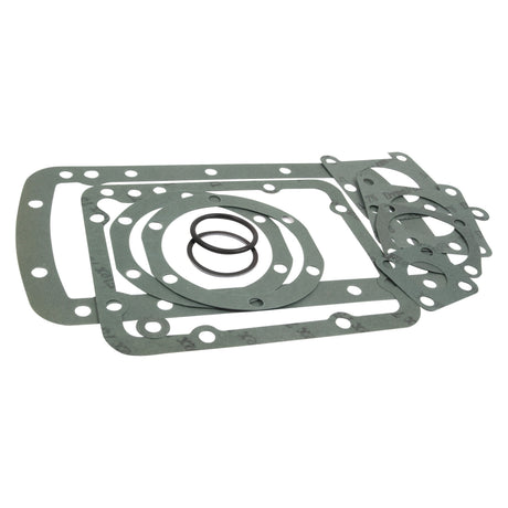 A set of various gray, flat gaskets and three round O-rings, part of the Sparex Lift Cover Repair Kit (Sparex Part No. S.61504) for a Massey Ferguson TE20, arranged in a pile against a white background.