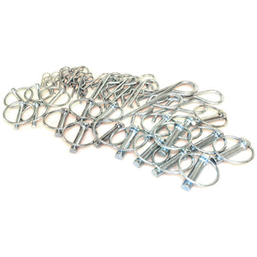 A collection of Linch Pin & Grip Clips Combination Pack (50 pcs. Bag) - S.13447 from Sparex, ideal for automotive and machinery assembly, is spread out on a white surface.