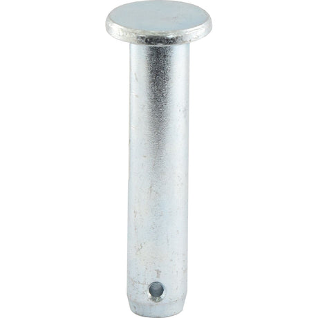 A close-up view of the Loader pin 19x76mm Cat.1 - S.2630 by Sparex, featuring a flat head and a small hole near the bottom end.