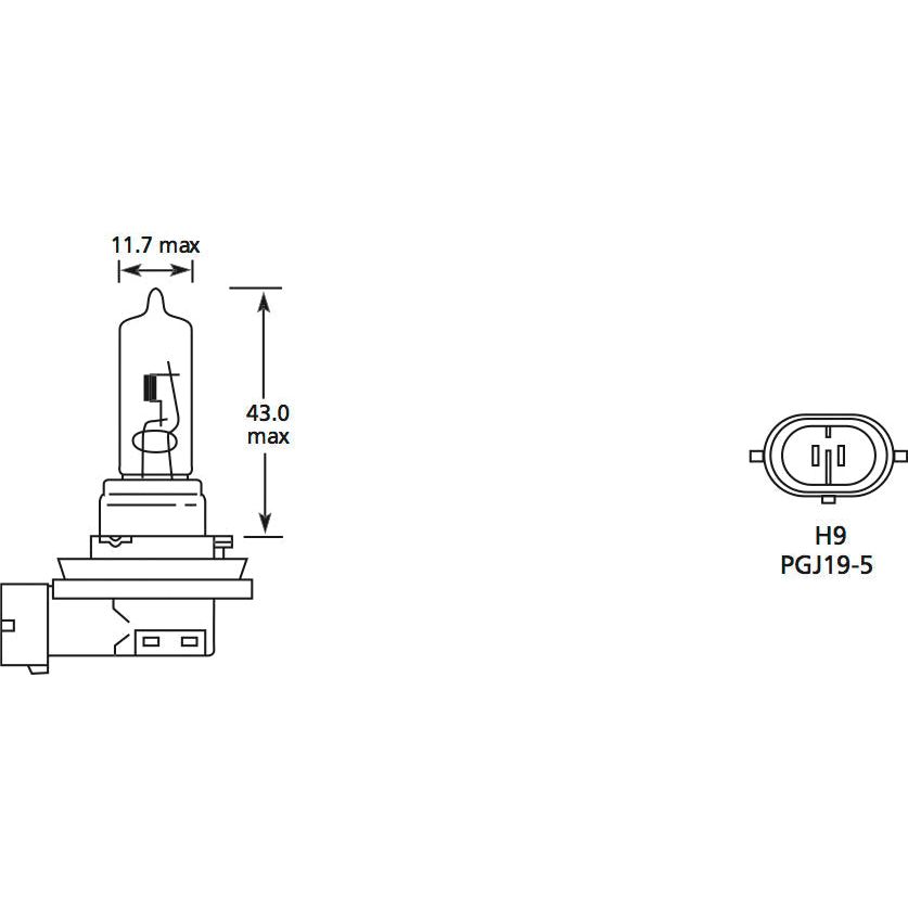 Halogen Head Light Bulb, 12V, 65W, PGJ19-5 Base
 - S.110041 - Farming Parts
